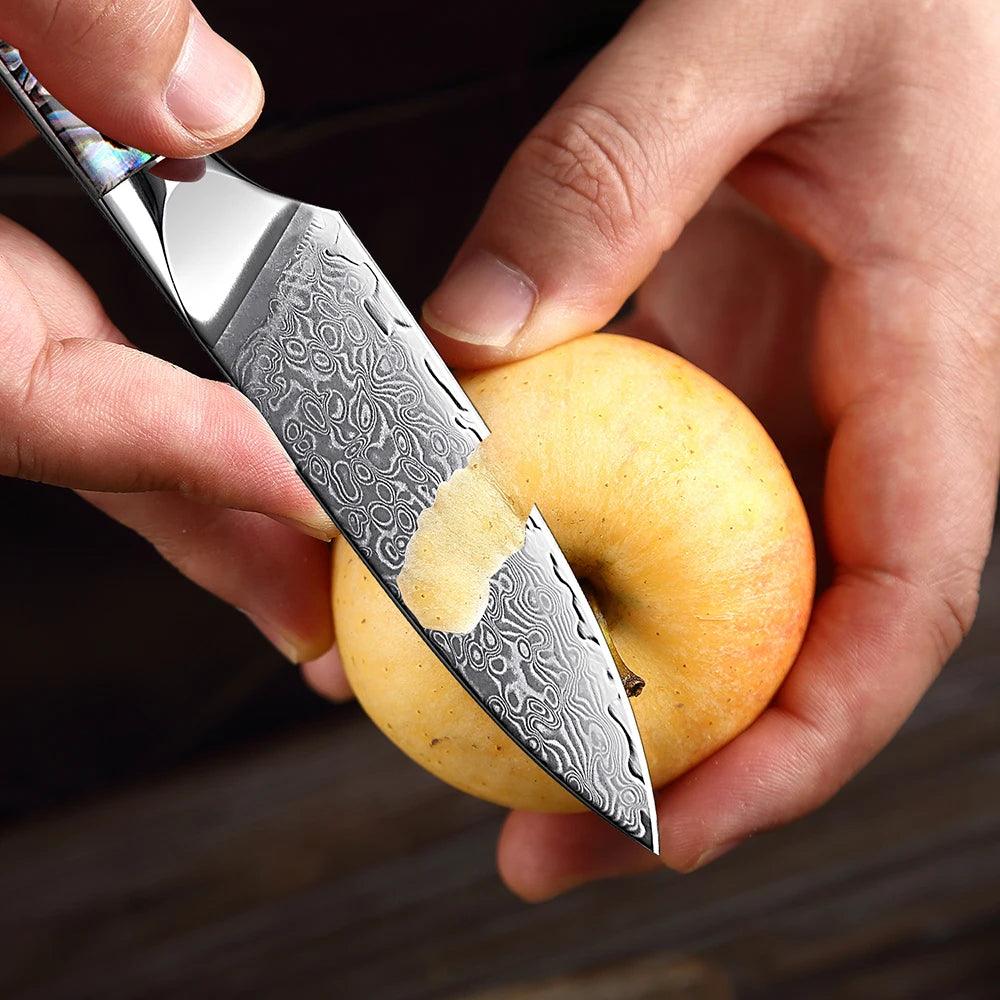 1-5 Piece Japanese Damascus Steel Knife Set K-XT3