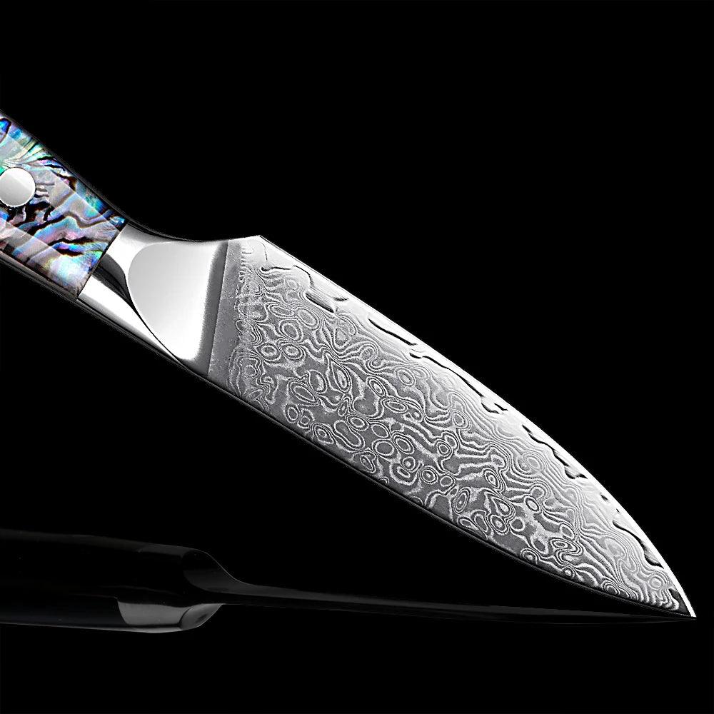 1-5 Piece Japanese Damascus Steel Knife Set K-XT3