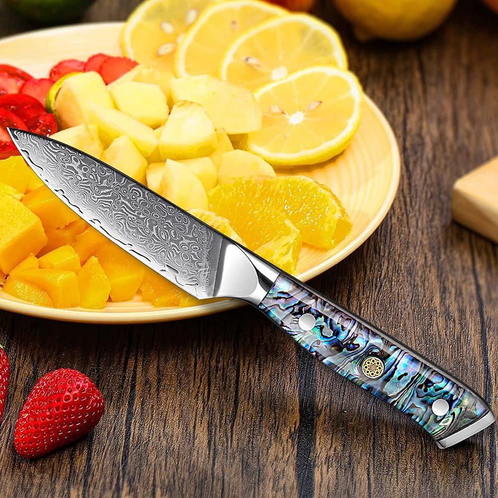 1-5 Piece Japanese Damascus Steel Knife Set K-XT3