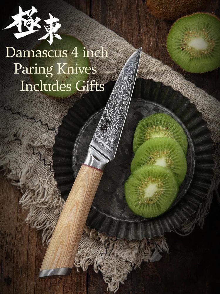4 Inch Damascus Steel Pairing Knife DS1