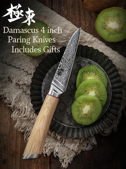 4 Inch Damascus Steel Pairing Knife DS1