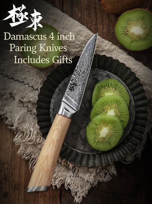 4 Inch Damascus Steel Pairing Knife DS1