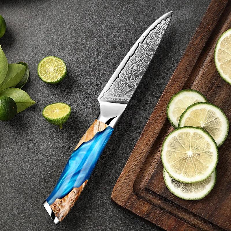 1-6 Damascus Steel Japanese Knife Set K-XT5