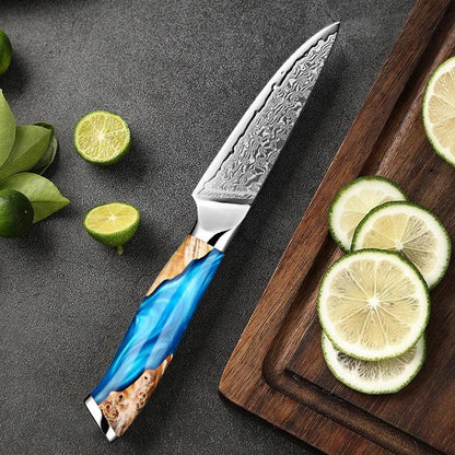 1-6 Damascus Steel Japanese Knife Set K-XT5