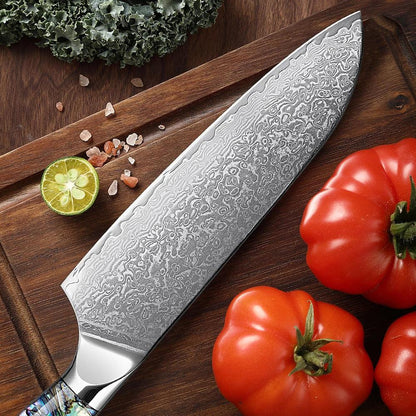 1-5 Piece Japanese Damascus Steel Knife Set K-XT3
