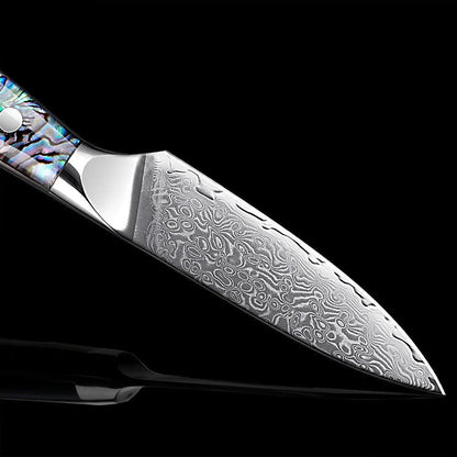 1-5 Piece Japanese Damascus Steel Knife Set K-XT3